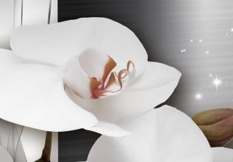 Cuadro decorativo Shiny Orchids