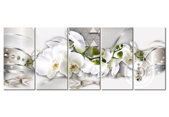 Cuadro decorativo Hermosas orquídeas (5 piezas) - flores blancas y figuras geométricas