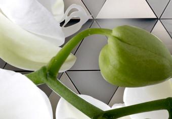 Cuadro decorativo Beautiful Orchises