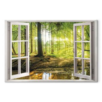 Cuadro Window: View on Forest