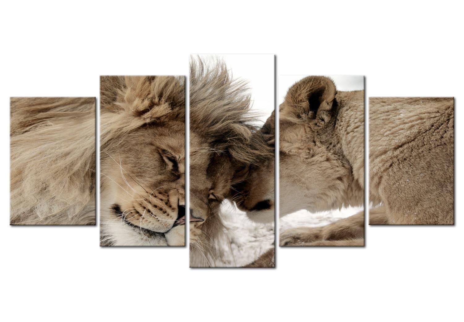 Cuadro decorativo Caricias de león (5 piezas) - pareja felinos ambiente romántico