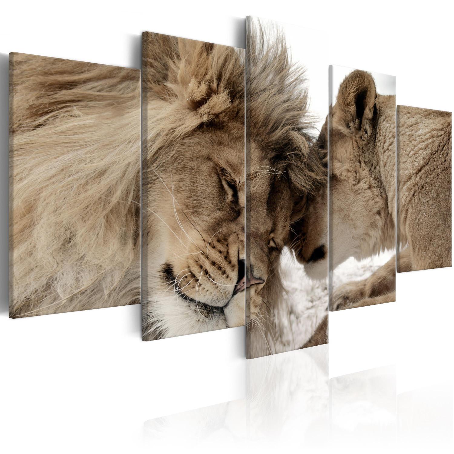 Cuadro decorativo Caricias de león (5 piezas) - pareja felinos ambiente romántico