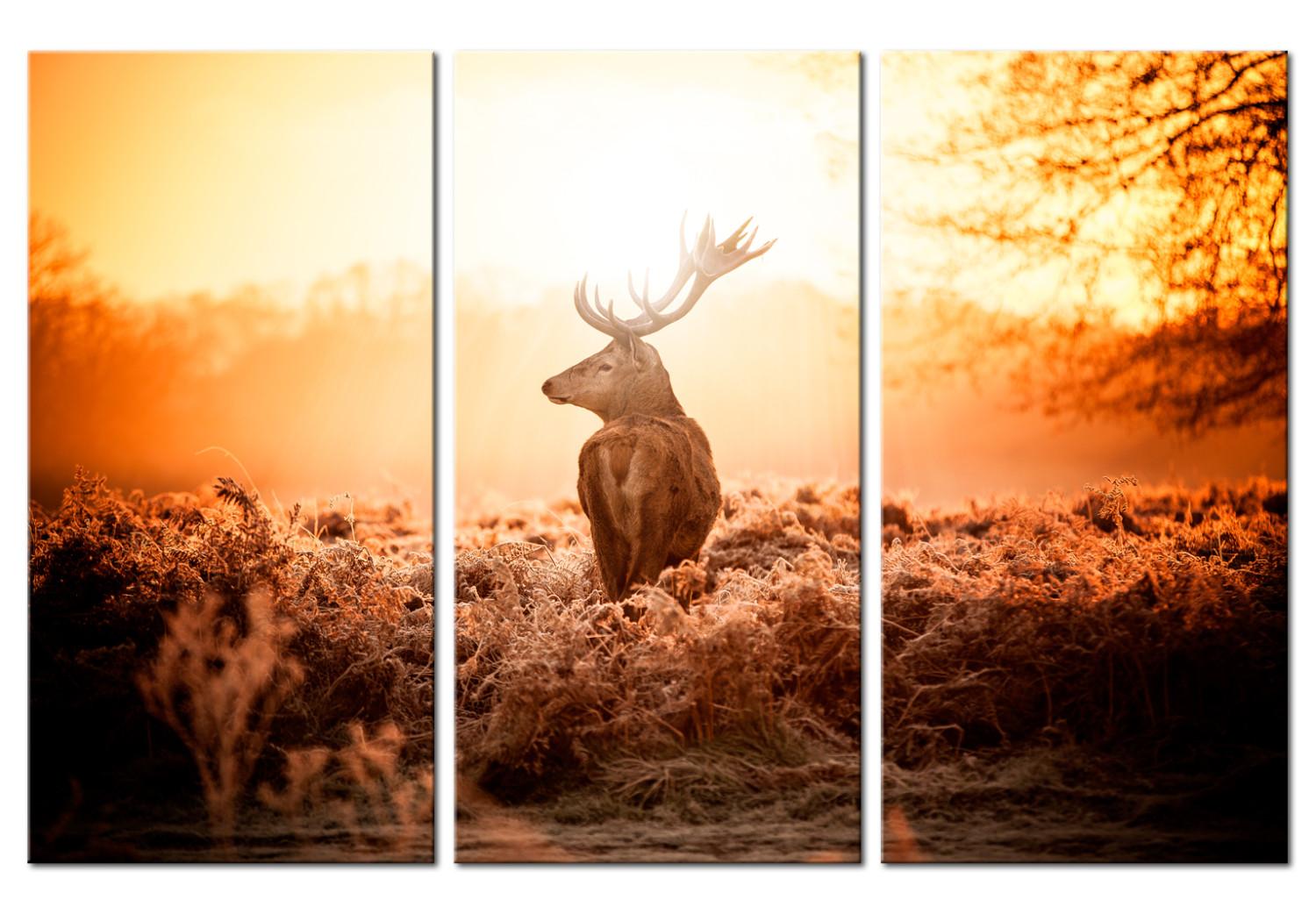Cuadro moderno Ciervo al sol (3 piezas) - ciervo solitario en un campo pintoresco