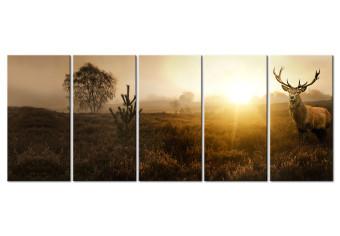 Cuadro Campos por la mañana (5 piezas) - ciervo entre hierba y árboles