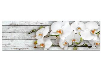 Cuadro decorativo Orquídeas sobre madera (1 pieza) - flores blancas fondo madera gris