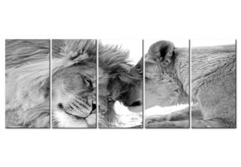 Cuadro moderno Lion's Love I