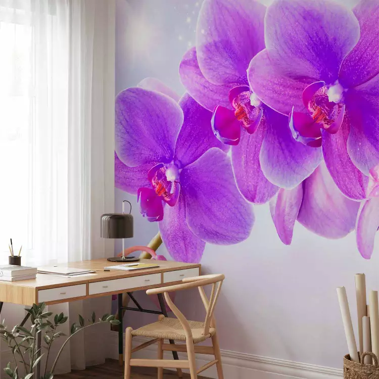 Fotomural Orquídeas moradas - motivo floral con efecto de luz