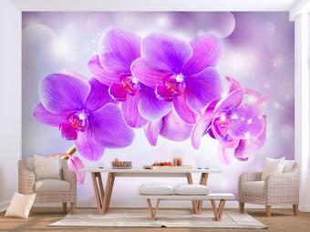 Fotomural Orquídeas moradas - motivo floral con efecto de luz
