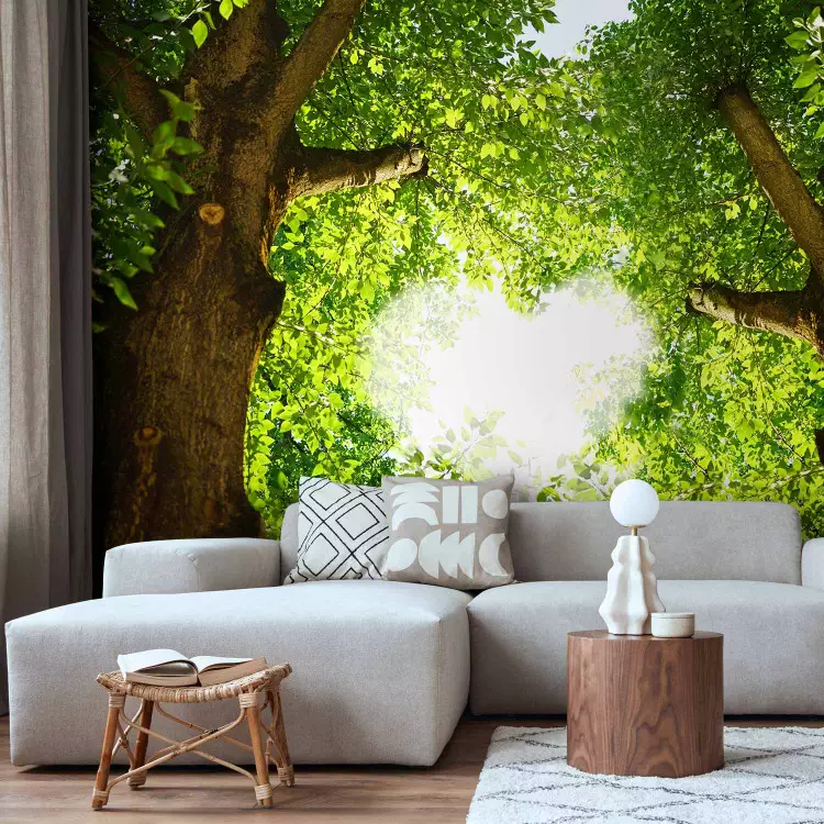 Fotomural decorativo Transparencia de amor - paisaje con coronas verdes de árboles