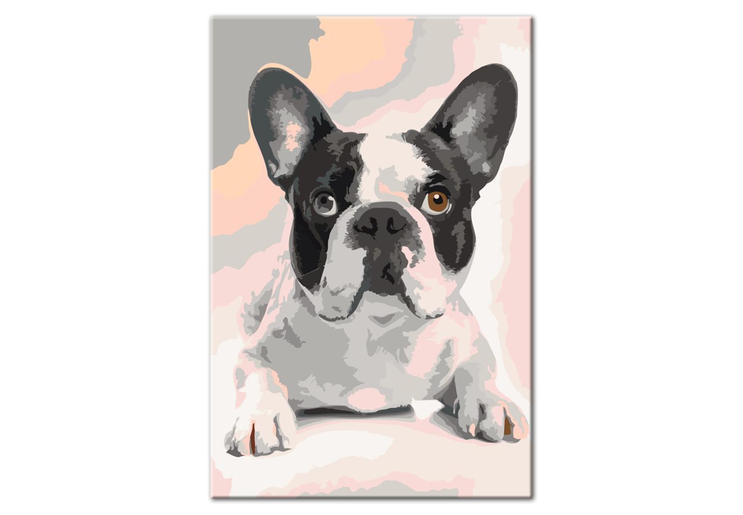 Cuadro numerado para pintar Bulldog francés