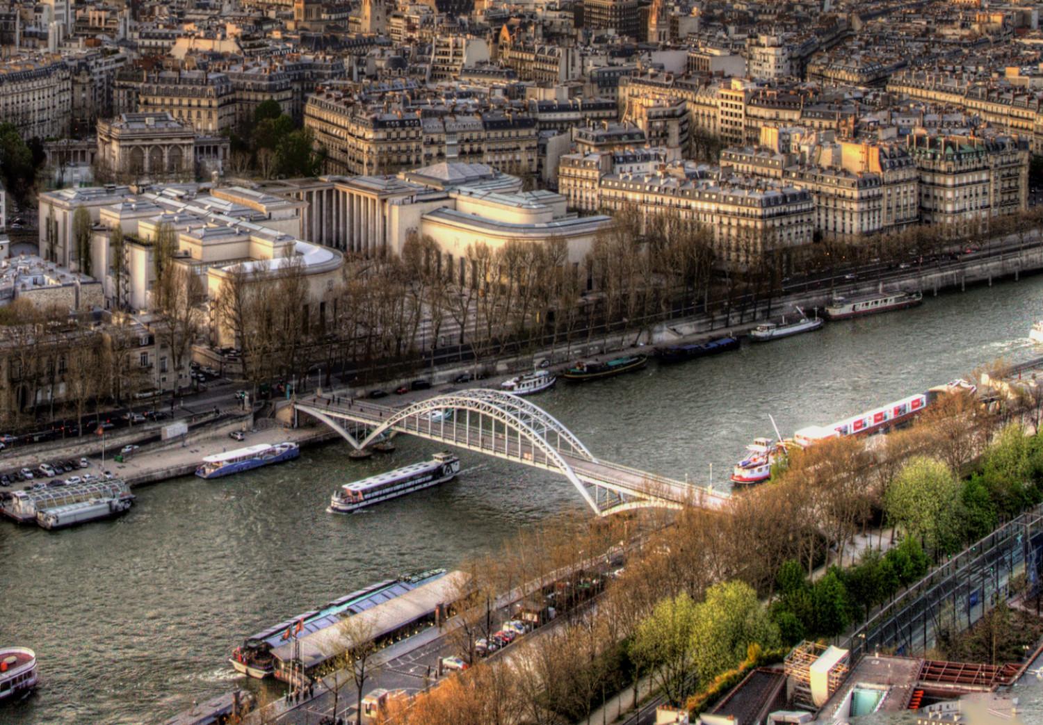 Cuadro decorativo View from Eiffel Tower (1 Part) Narrow