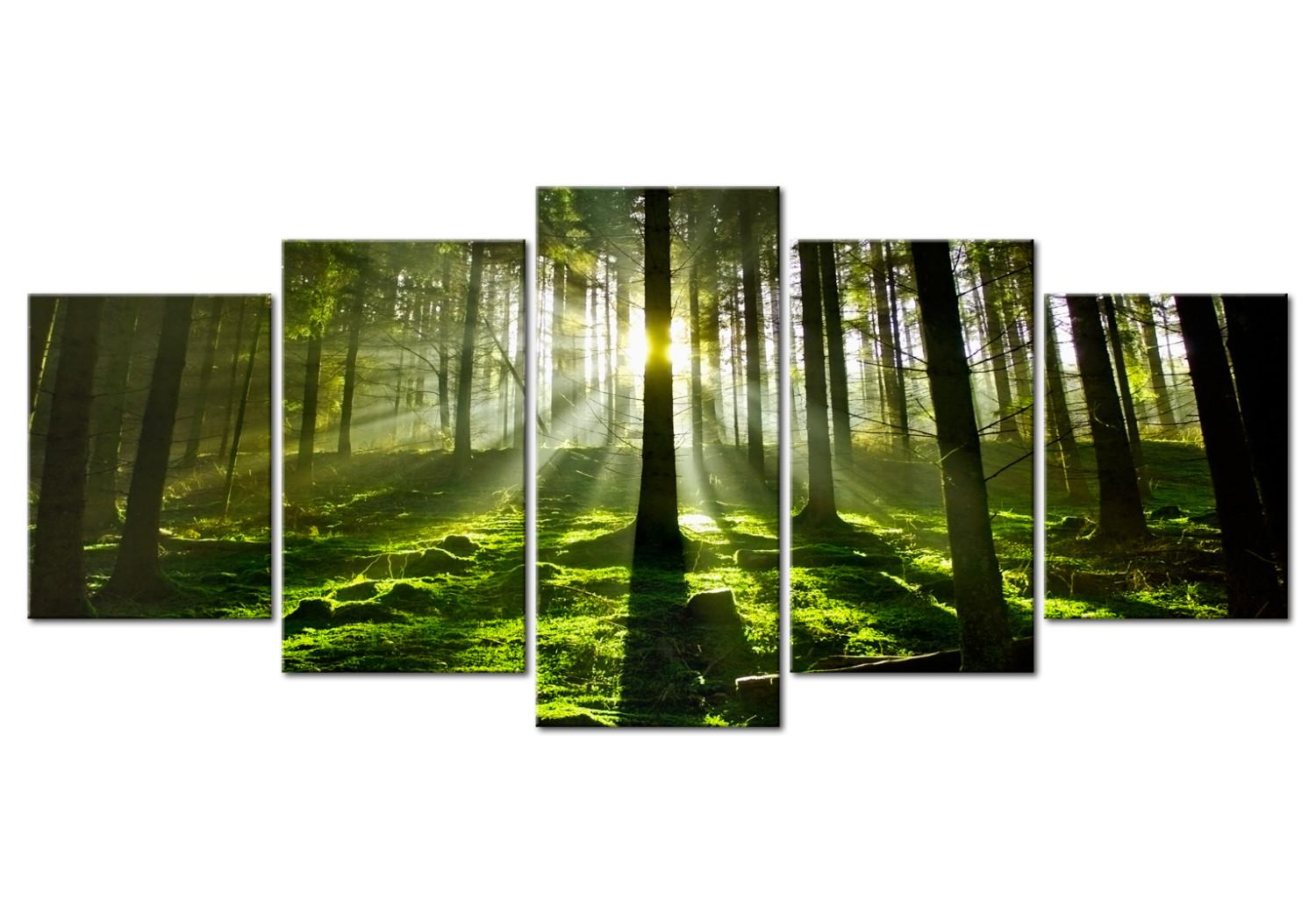 Cuadro decorativo Paz mental (5-parte) - paisaje forestal natural