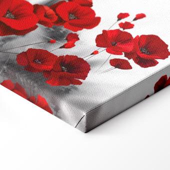 Cuadro moderno Field Poppies (1 Part) Wide