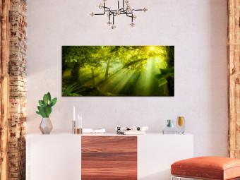 Cuadro decorativo Bajo el sol (1-pieza) - bosque verde de cuento