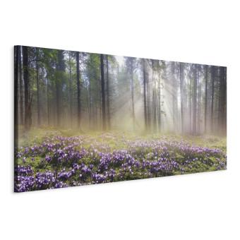 Cuadro Pradera púrpura (1-pieza) - bosque y flores primaverales