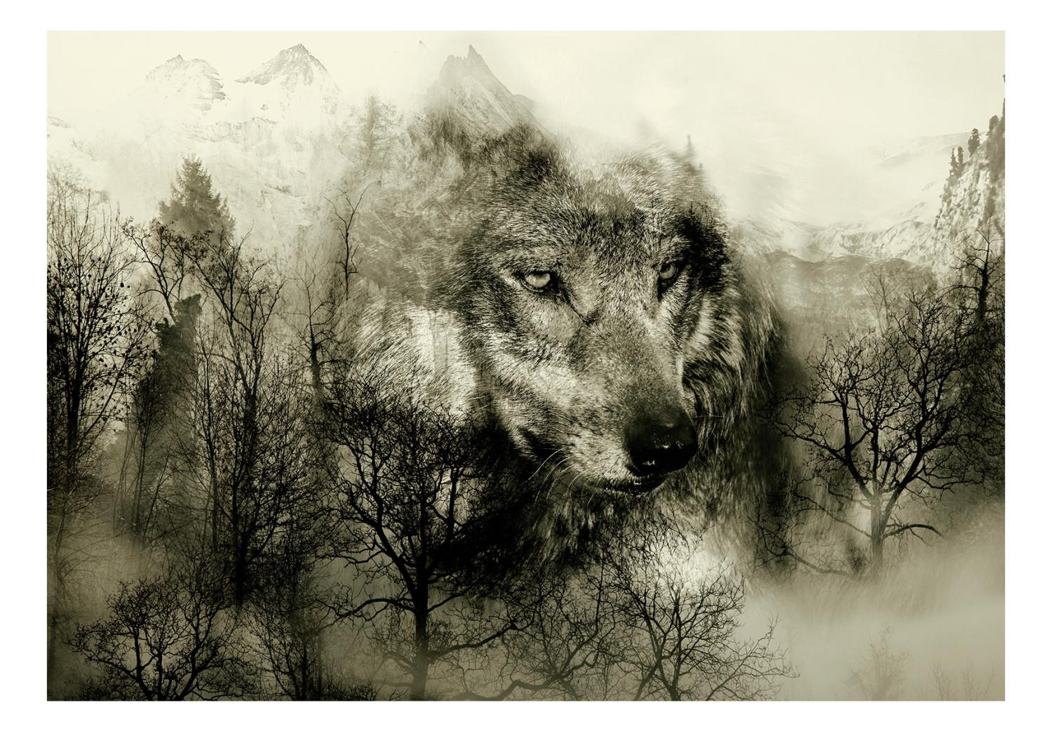 Fotomural a medida Depredador de montañas - lobo en bosque montañoso