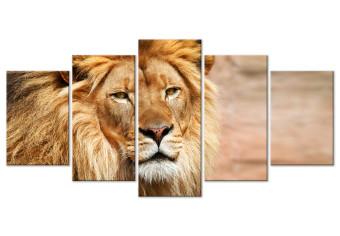 Cuadro moderno The King of Beasts (5 Parts) Wide Orange