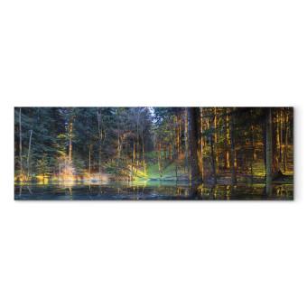 Cuadro decorativo Pond in the Forest (1 Part) Narrow