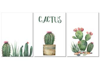 Cuadro moderno Three Cacti - gráficos simplificados y alegres de plantas verdes