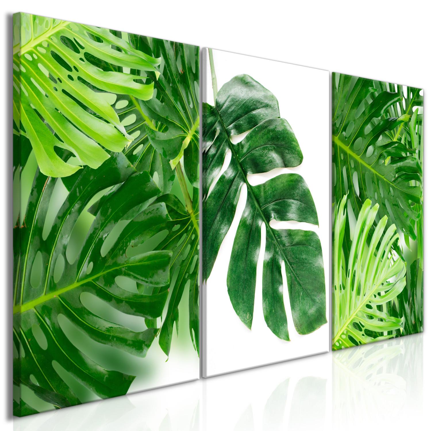 Cuadro decorativo Palm Leaves (3 Parts)