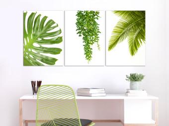 Cuadro Beautiful Palm Trees (3 Parts)