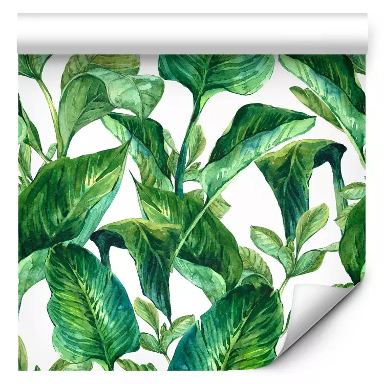 Paraíso tropical