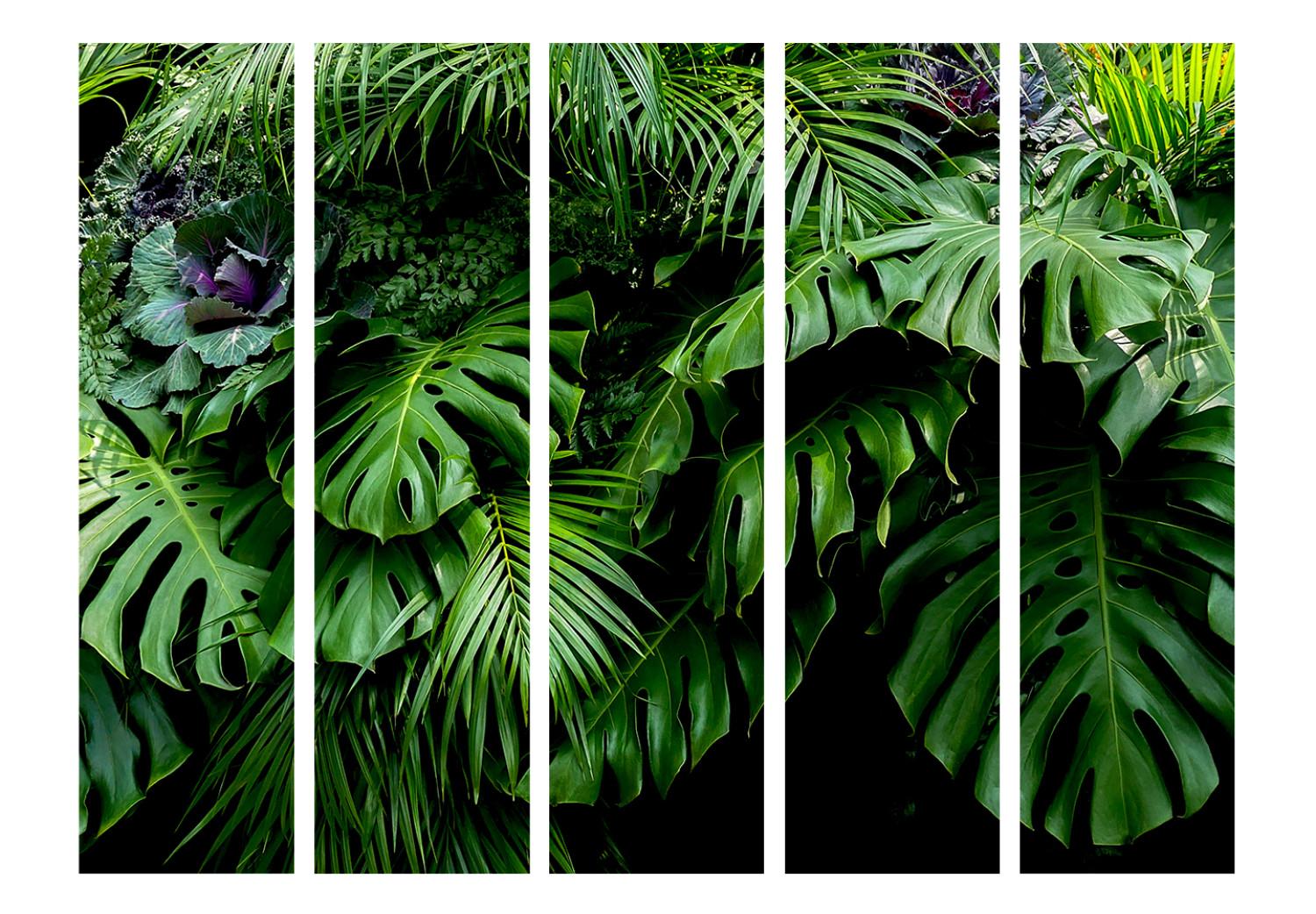 Biombo original Selvas tropicales II - paisaje hojas tropicales fondo selva