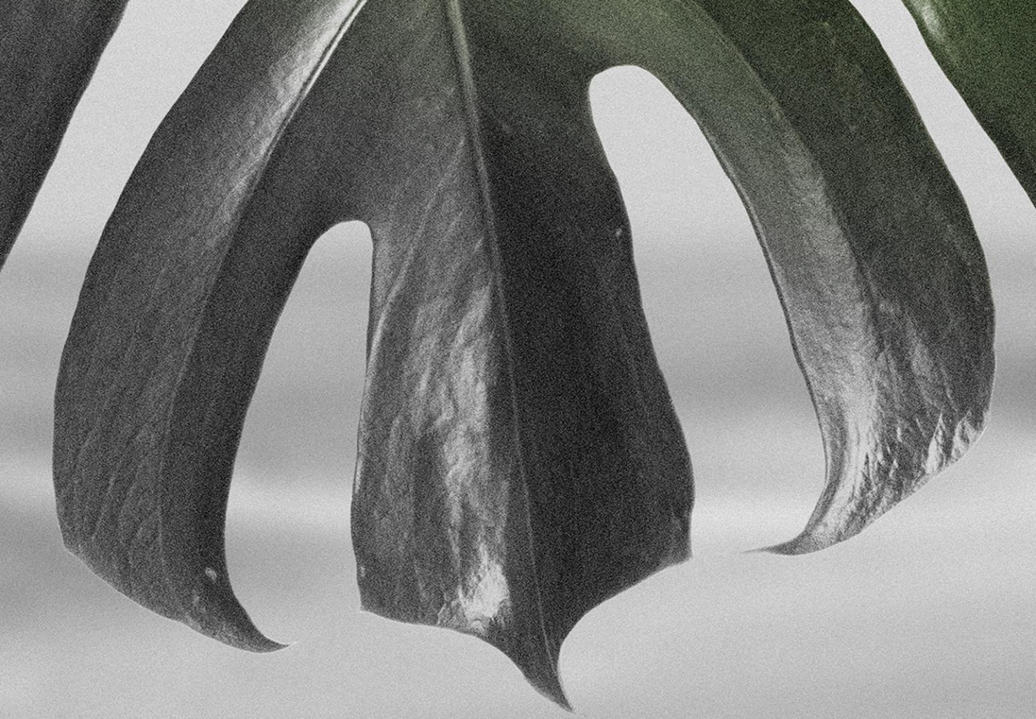 Cuadro Leaf of Monstera (1 Part) Vertical