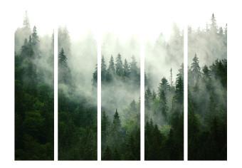 Biombo decorativo Bosque de coníferas II - paisaje de bosque de coníferas con niebla