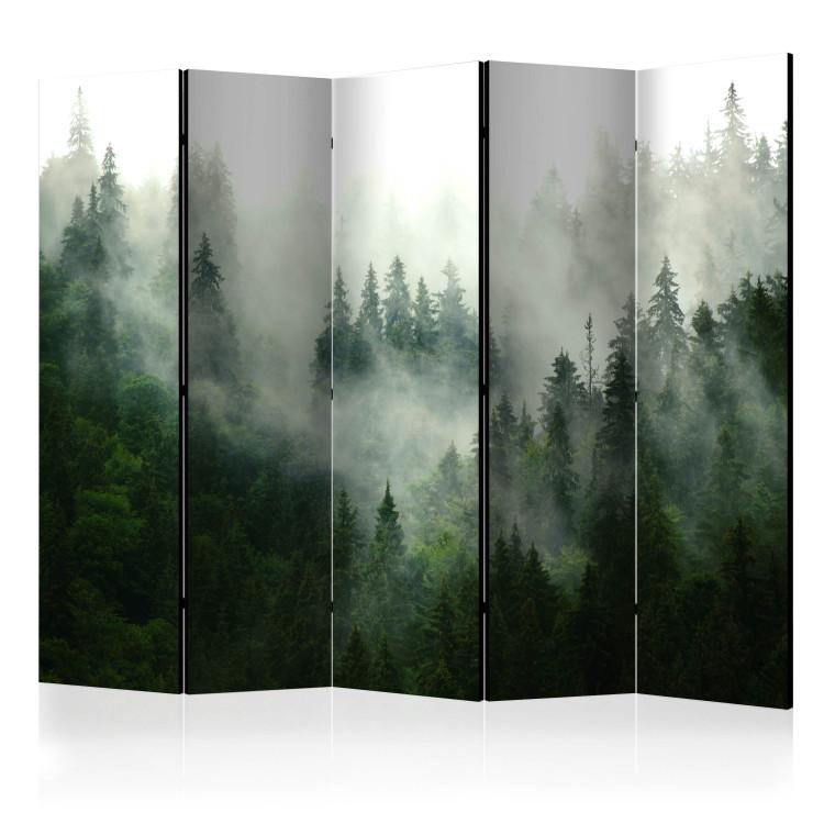 Bosque de coníferas II - paisaje de bosque de coníferas con niebla