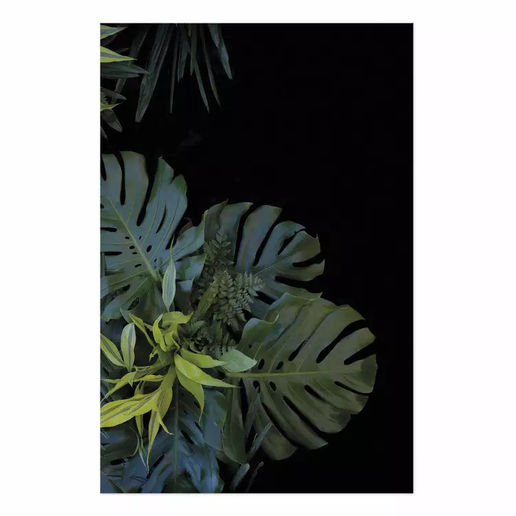 Póster Monstera - composición botánica en hojas tropicales sobre negro