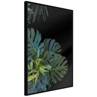 Monstera - composición botánica en hojas tropicales sobre negro
