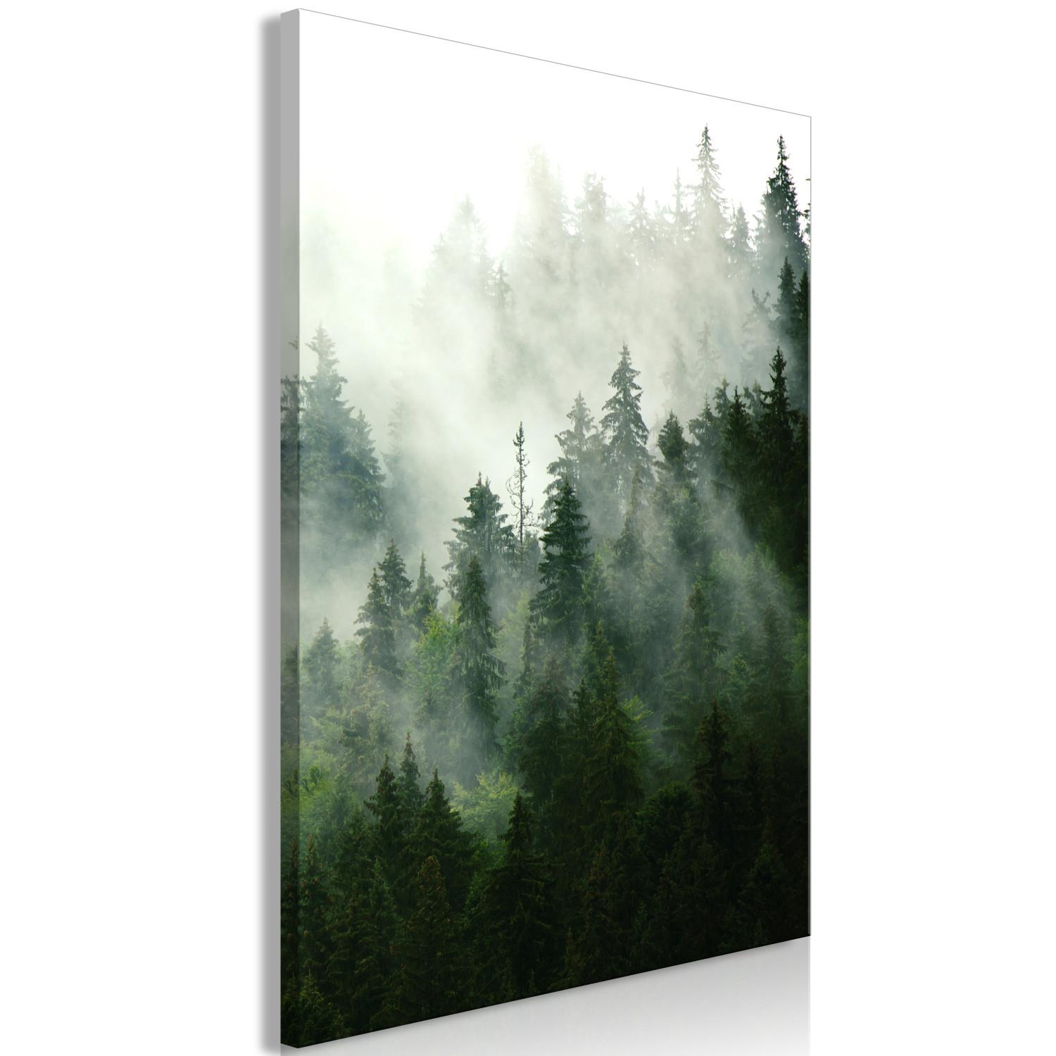 Cuadro decorativo Coniferous Forest (1 Part) Vertical