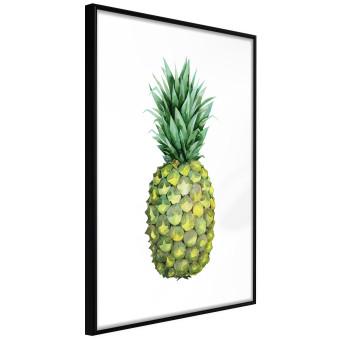 Pineapple [Poster]