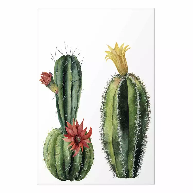 Póster Cactuses [Poster]