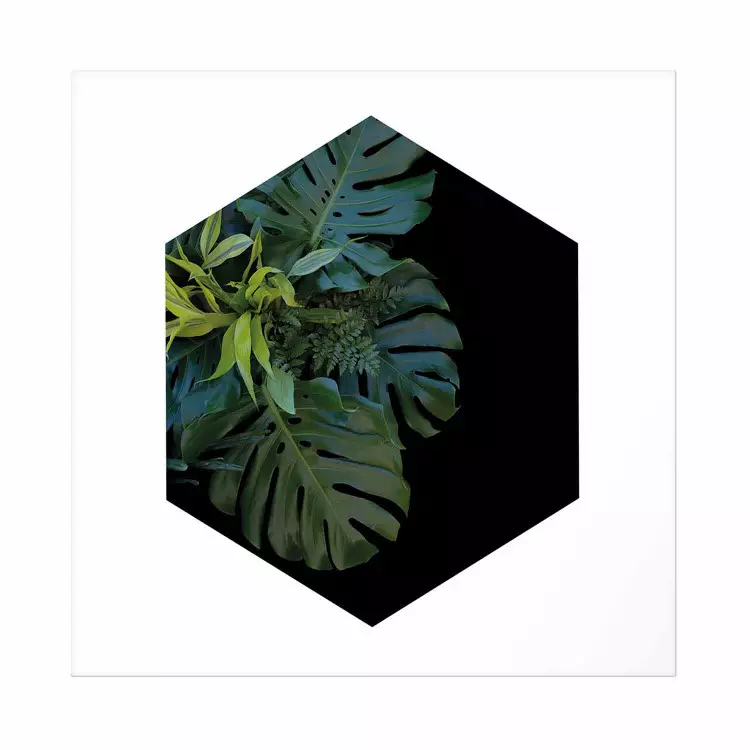 Póster Plant Hexagon (Square) [Poster]