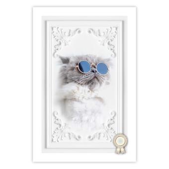 Cartel Gato con gafas - composición humorística con animal sobre fondo blanco