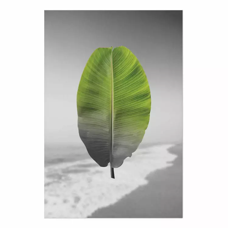 Cartel Banana Leaf [Poster]