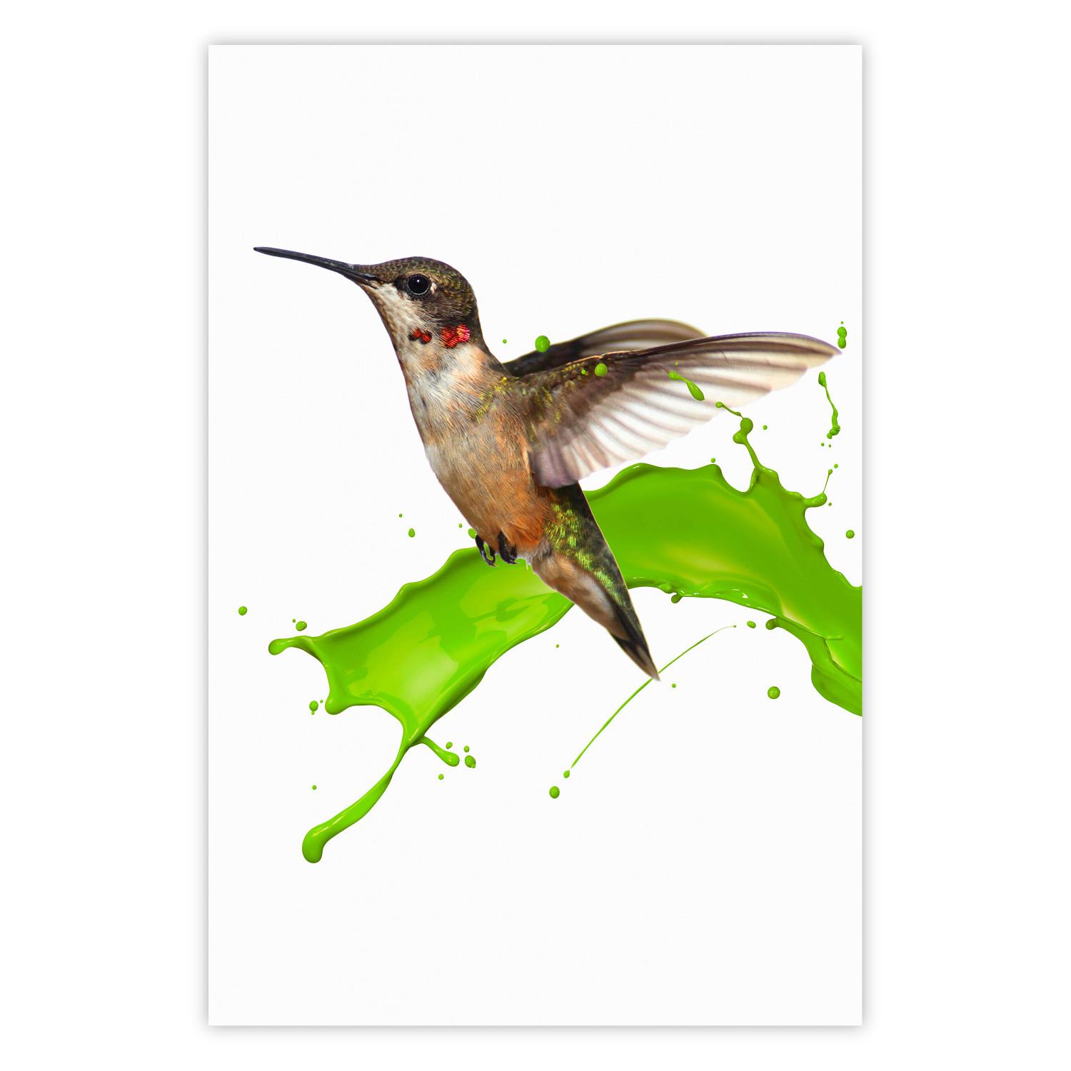 Póster Colibrí en vuelo - ave marrón y salpicaduras de pintura verde