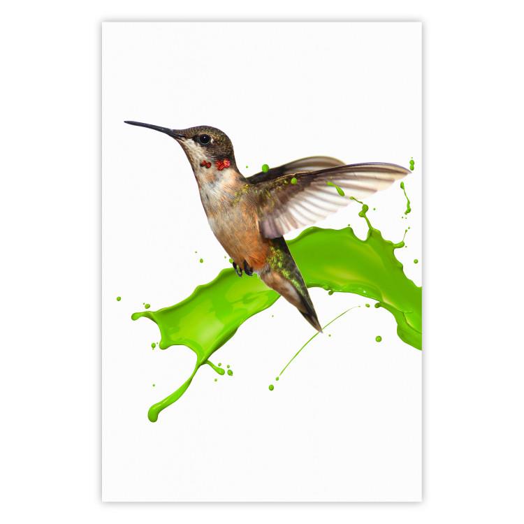 Colibrí en vuelo - ave marrón y salpicaduras de pintura verde