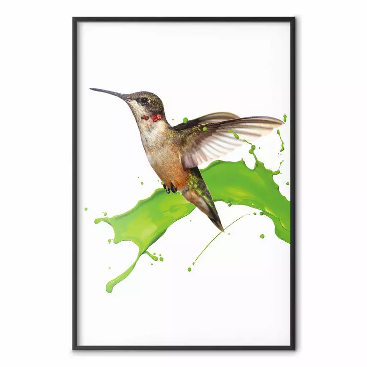 Colibrí en vuelo - ave marrón y salpicaduras de pintura verde
