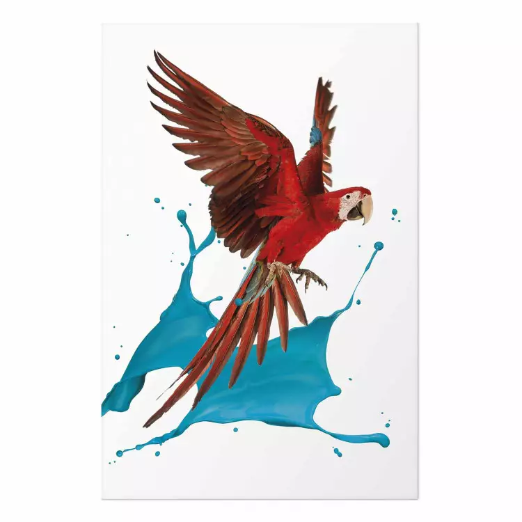 Póster Parrot in Flight [Poster]