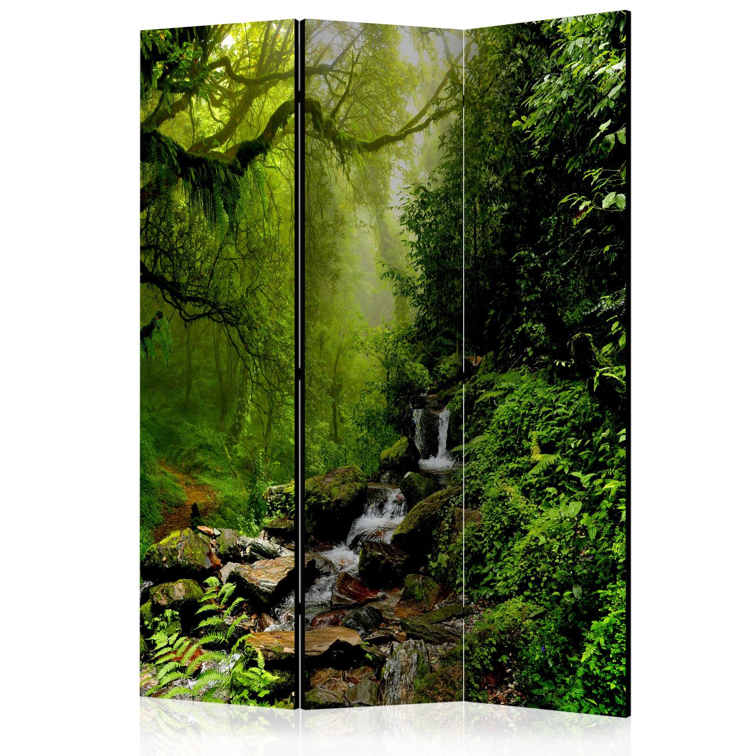 Biombo decorativo Bosque de cuento de hadas - paisaje forestal con cascada sobre rocas