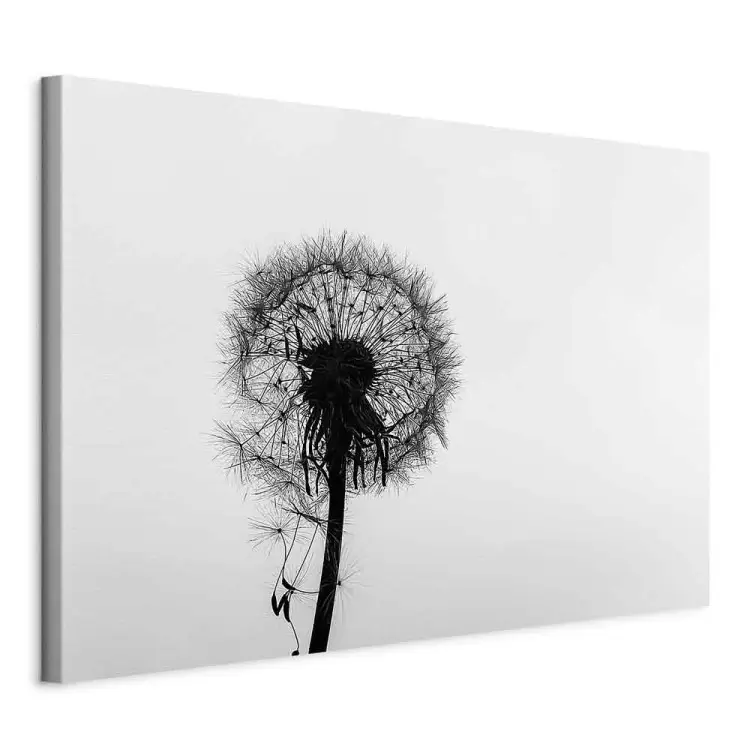 cuadros en blanco y negro de la naturaleza