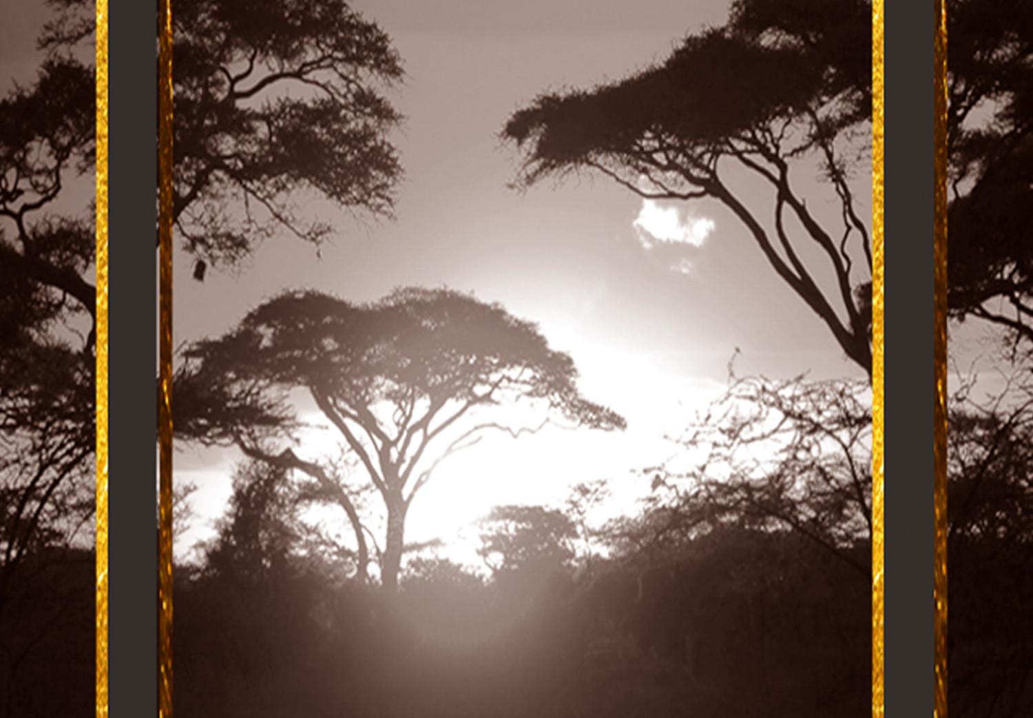 Póster Nubes sobre la sabana: paisaje nocturno africano