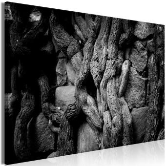 Cuadro decorativo Old Roots - foto en blanco y negro de piedras de plantas enredadas