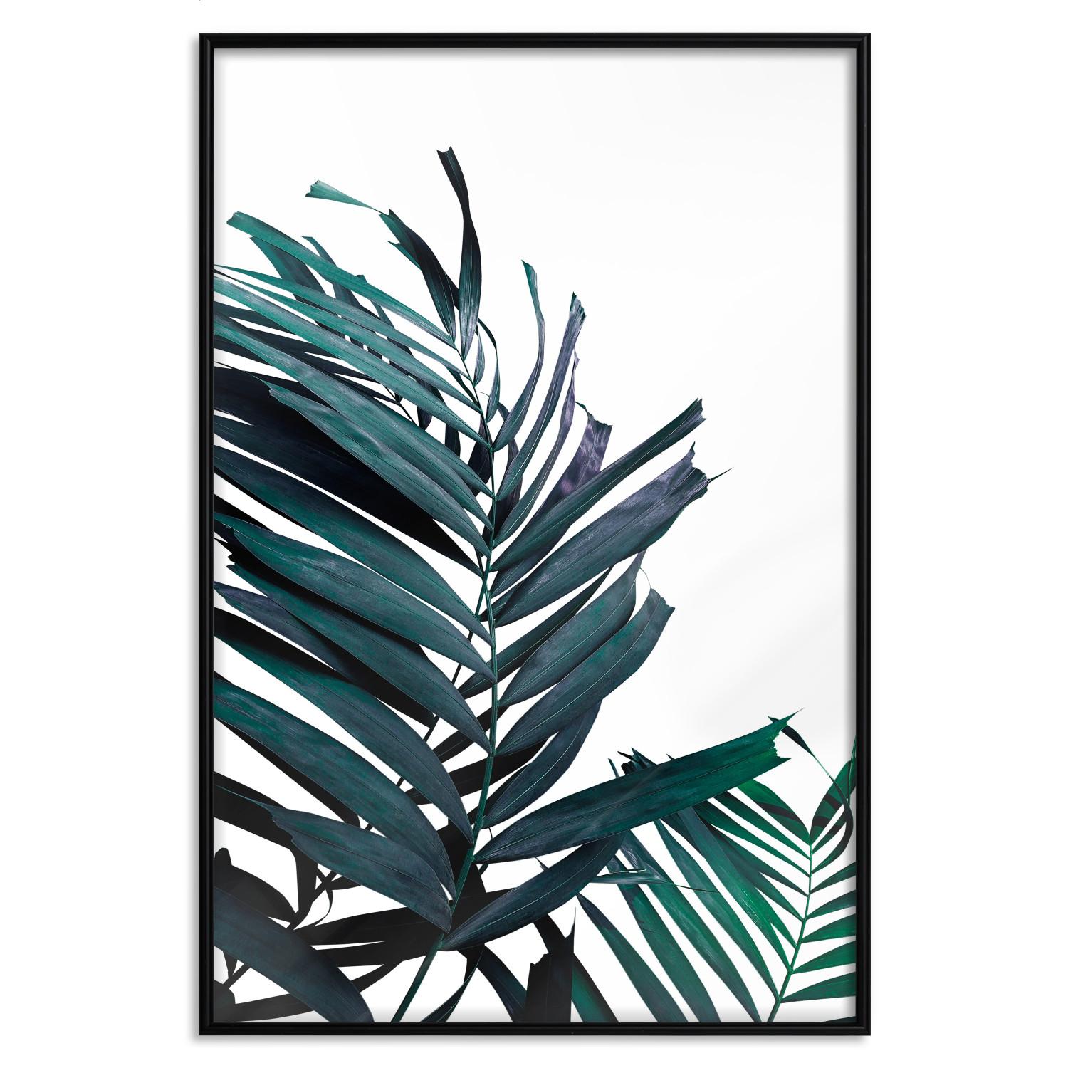 Set de poster Hojas esmeralda - fondo blanco y palmera tropical verde