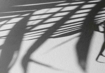 Cartel Sombra de una ramita: abstracción geométrica