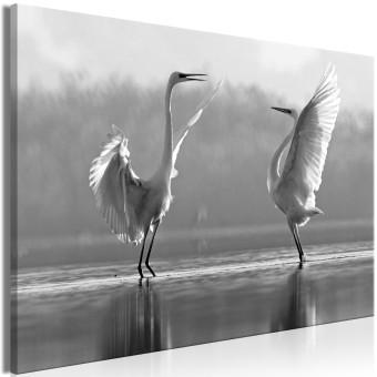 Cuadro decorativo Danza de amor de aves (1 parte) - cisnes blancos reflejados en agua
