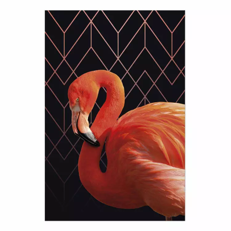 Set de poster Flamingo Solo [Poster]